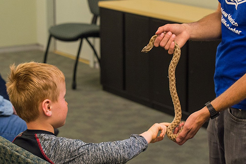 Education Overview - New Mexico Wildlife Center