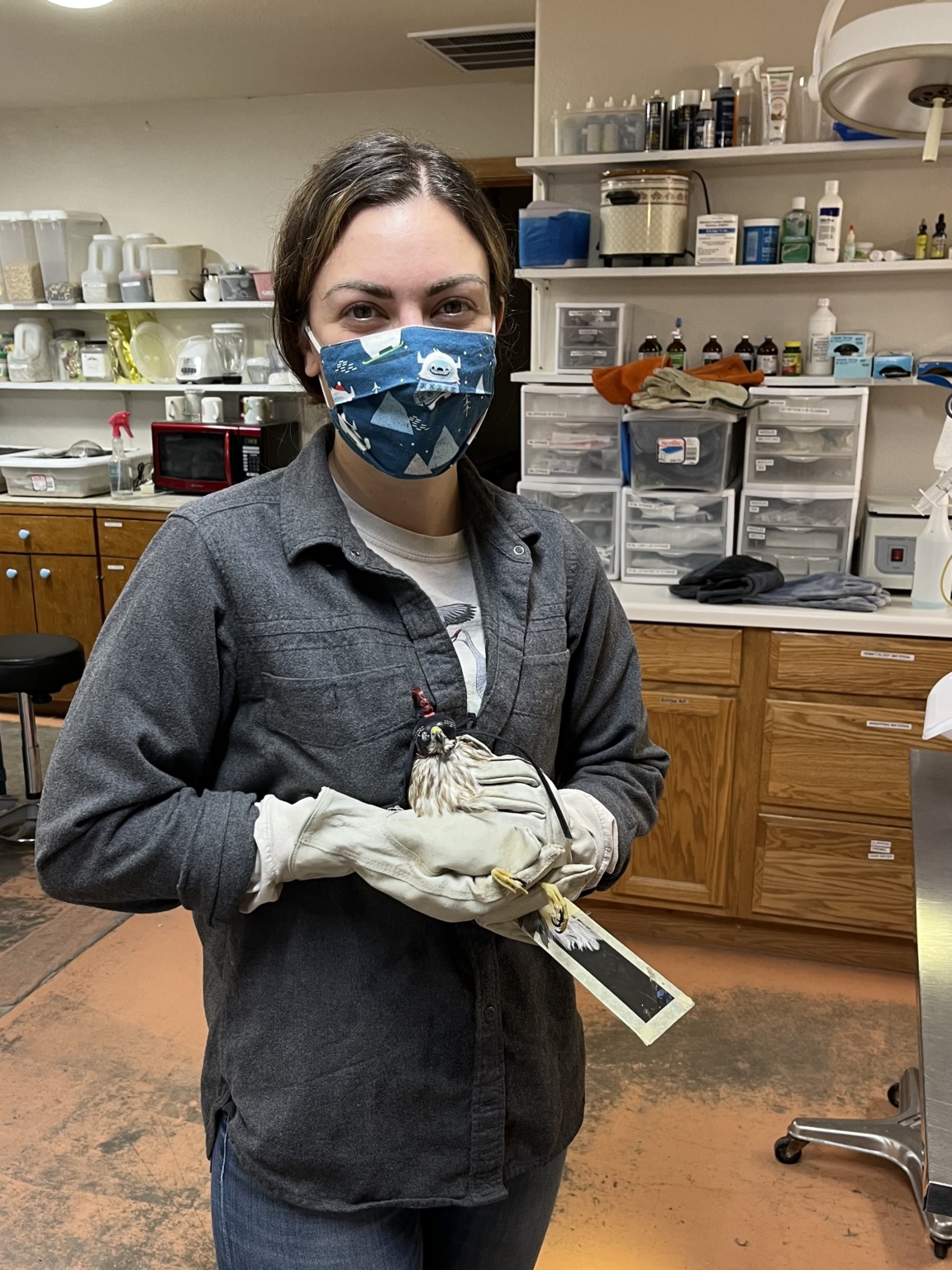 Home New Mexico Wildlife Center