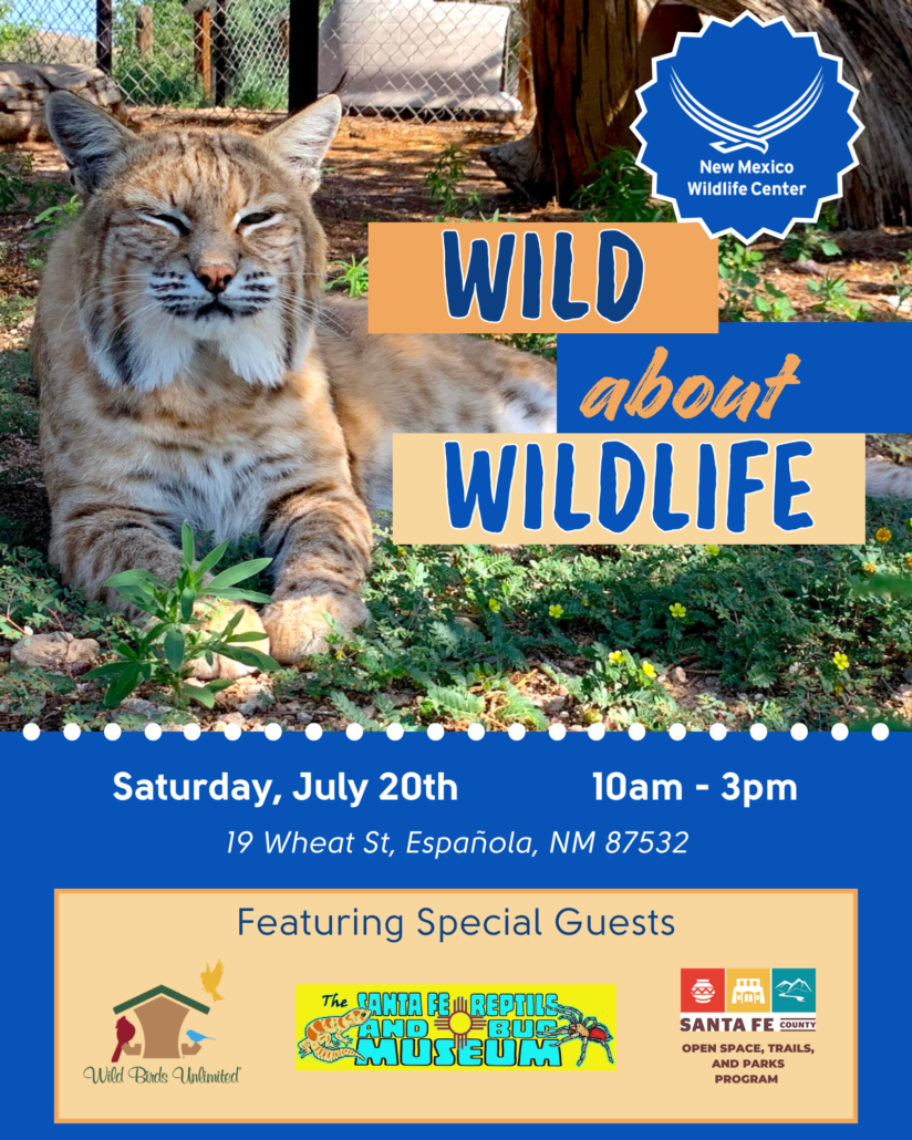 An advertisement for Wild About Wildlife, an event at NMWC on July 20th from 10am-3pm. The flyer has a photograph of a bobcat lying in grass. There is also a section at the bottom that says "Featuring Special Guests" with logos for Wild Birds Unlimited, the Santa Fe Reptile and Bug Museum, and Santa Fe County Open Spaces.