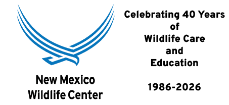 New Mexico Wildlife Center